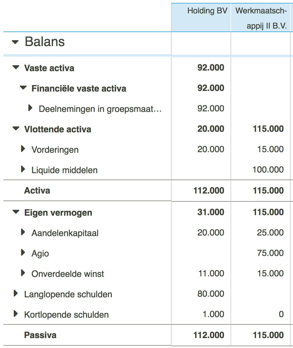 Consolidatie met aandeel derden